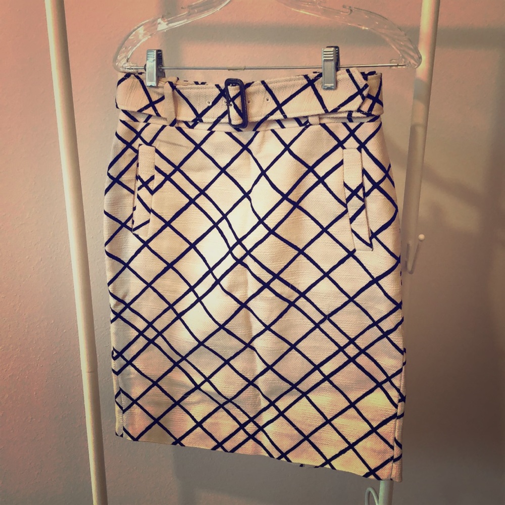 Pencil Skirt